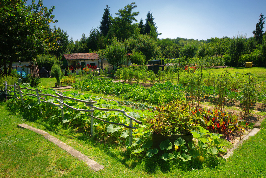 Fregie Obsttüte Gemüsegarten